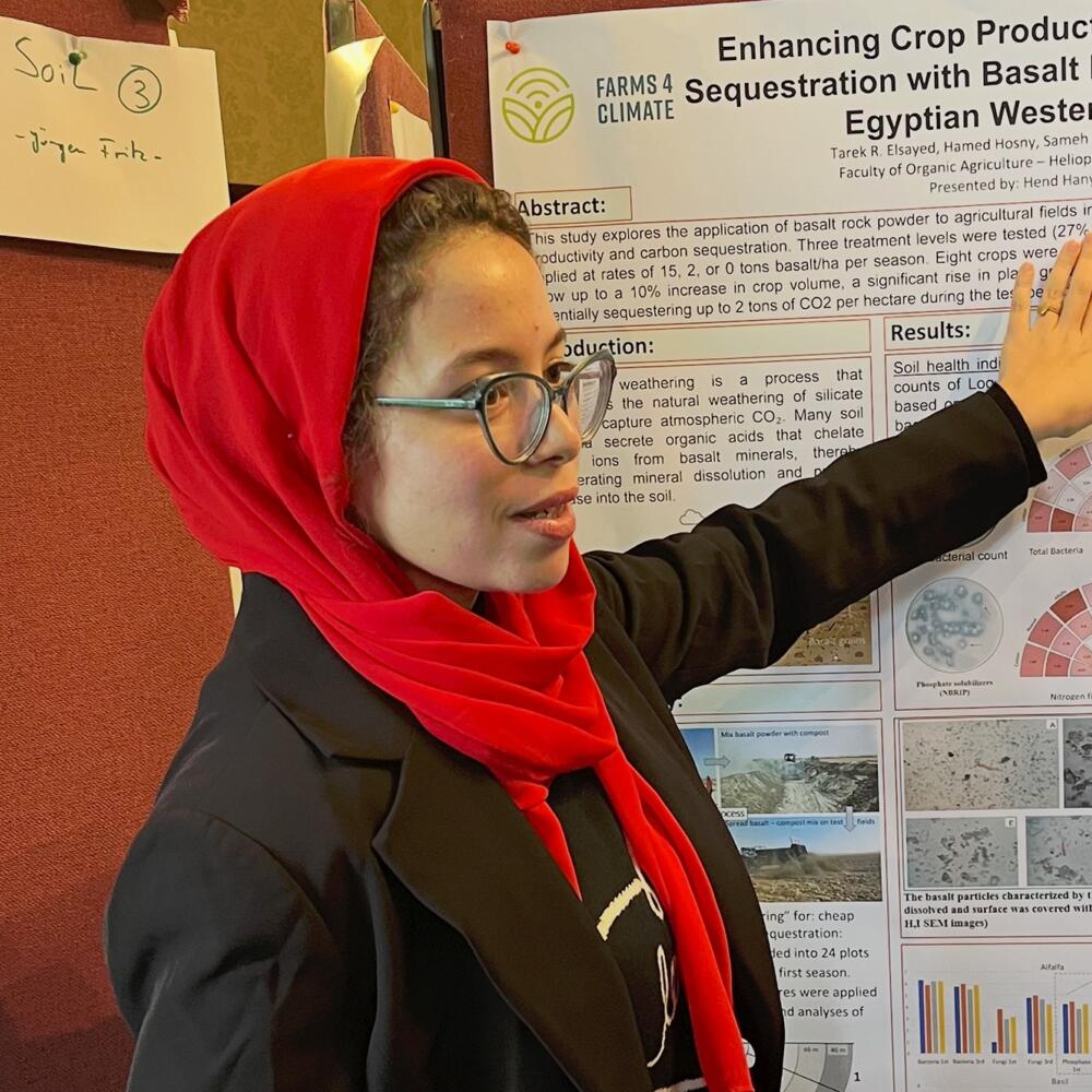 Stresstolerante Gurken, entspannte Kühe mit Hörnern