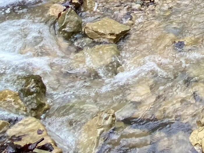 Contributions to ‘Stil’ magazine describe karma without guilt