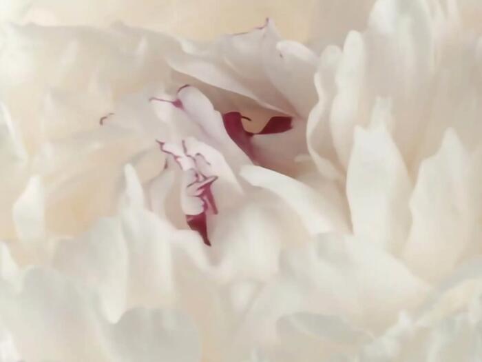 Mit Goetheanismus zur Schwelle