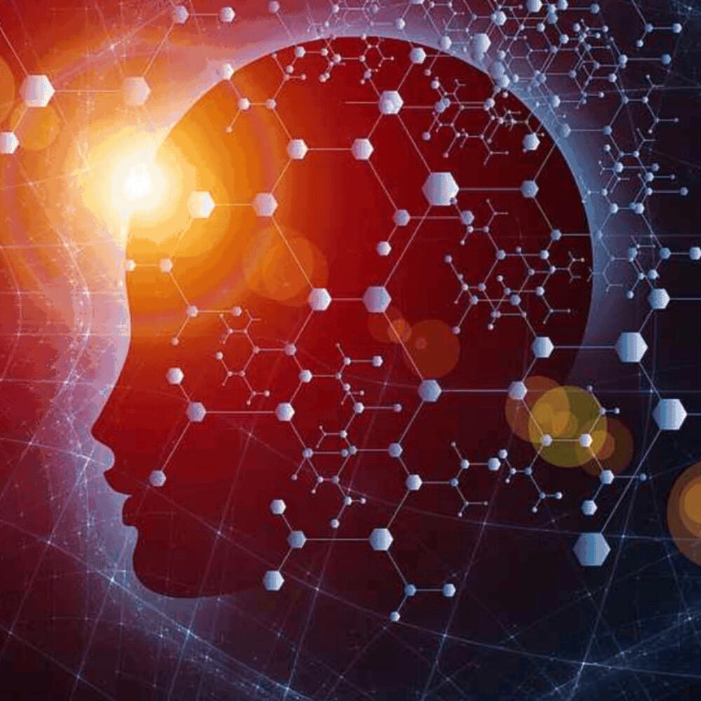 "Technik und Transhumanismus" II