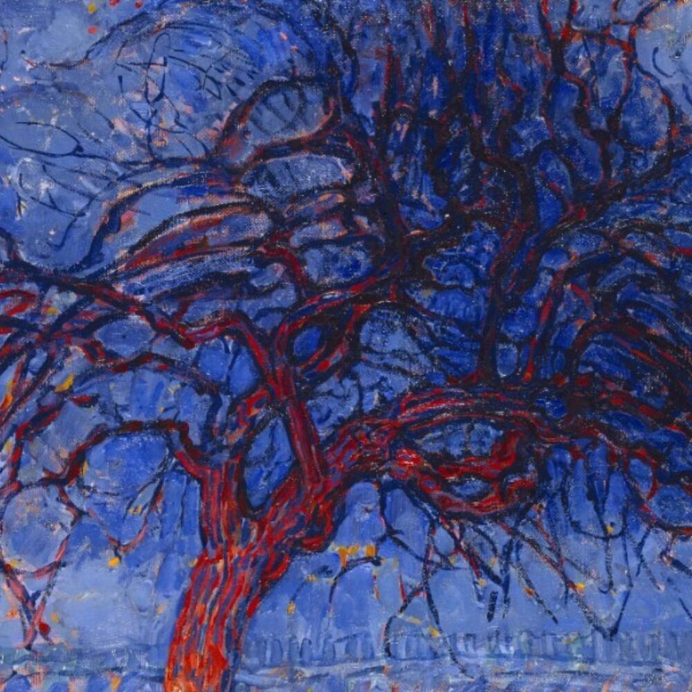 Erkundungen der Imagination und kontemplativen Forschung