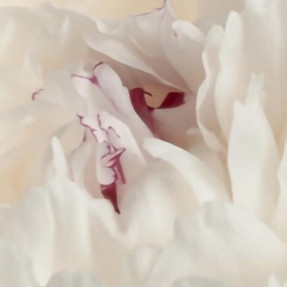 Kolloquium: Meditation und Naturwissenschaft