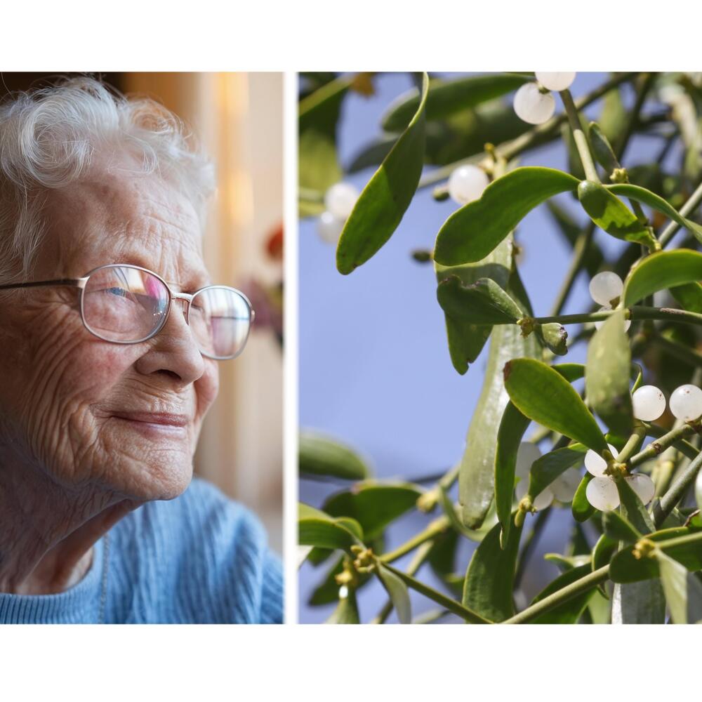 Symposium "Grenz- und Zukunftsfragen in Onkologie und Palliativmedizin"