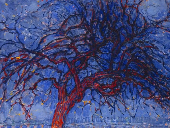 Erkundungen der Imagination und kontemplativen For