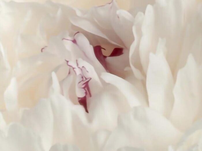 Meditation und Naturwissenschaft