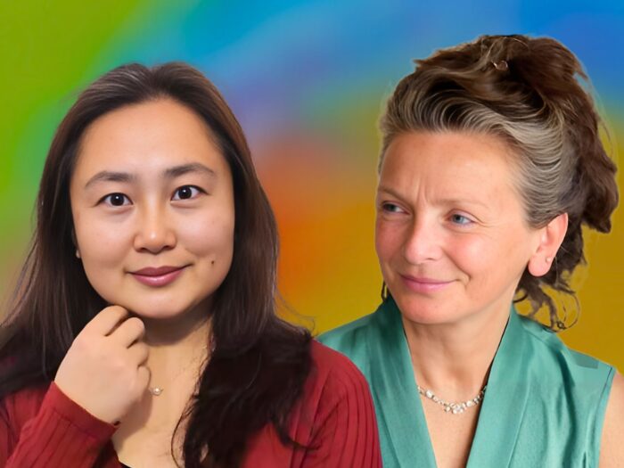 Beitrag Aerts und Zhang