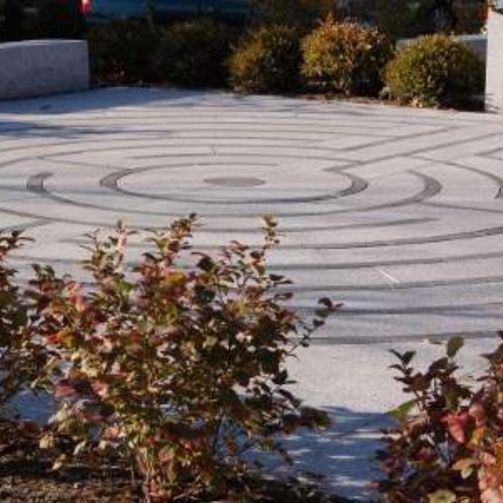 100 лет Рудольфу Штайнеру – конференция в США