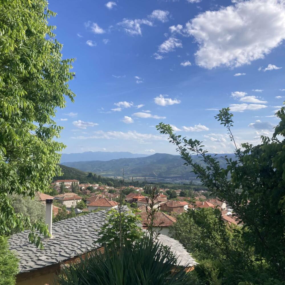 Весенняя встреча социально-терапевтической рабочей группы в Болгарии