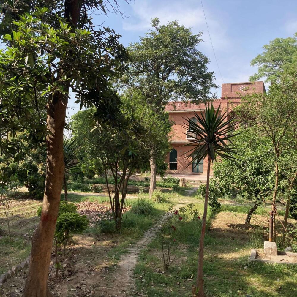 Климатические преобразования в социальных учреждениях — как создать здоровую атмосферу?