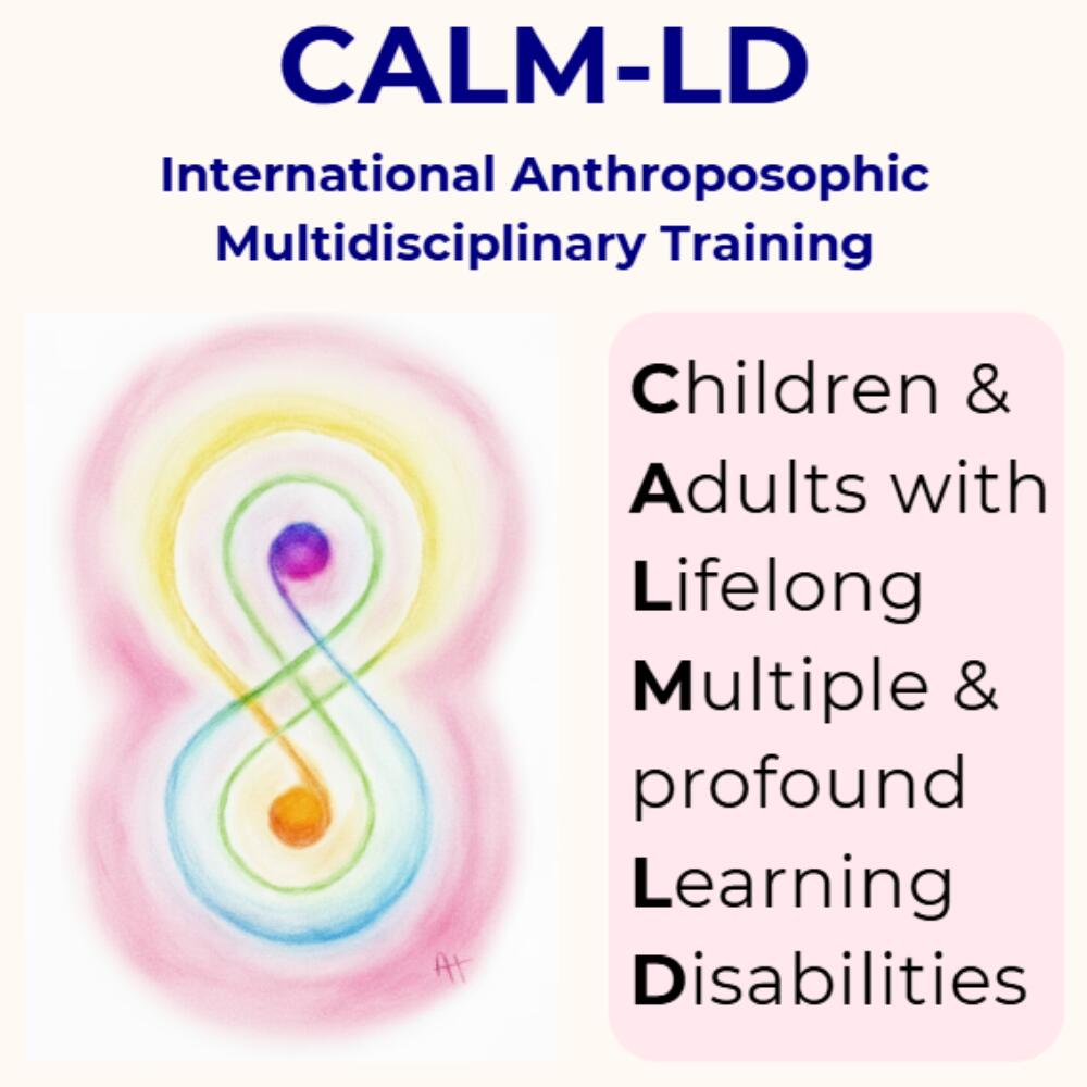 Physicians and Therapists in Therapeutic Education and Social Therapy