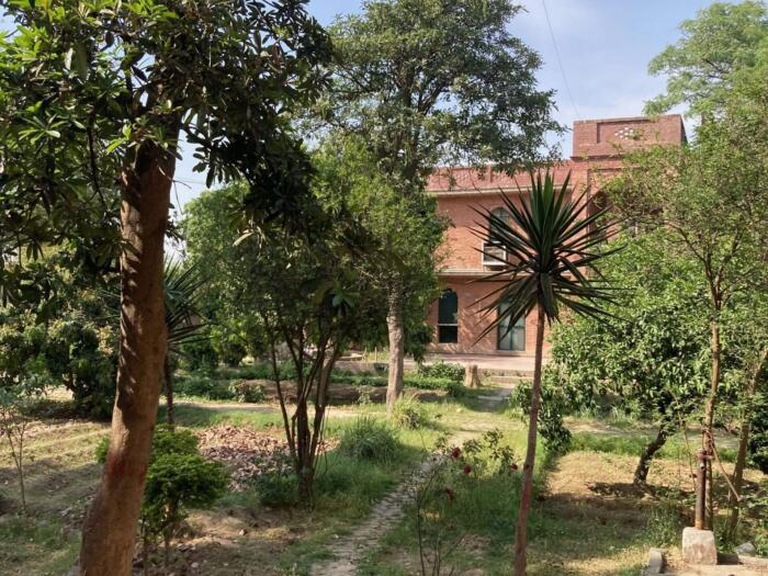 Климатические преобразования в социальных учреждениях — как создать здоровую атмосферу?