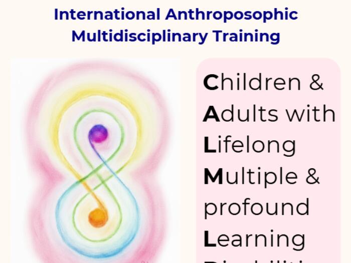 Physicians and Therapists in Therapeutic Education and Social Therapy