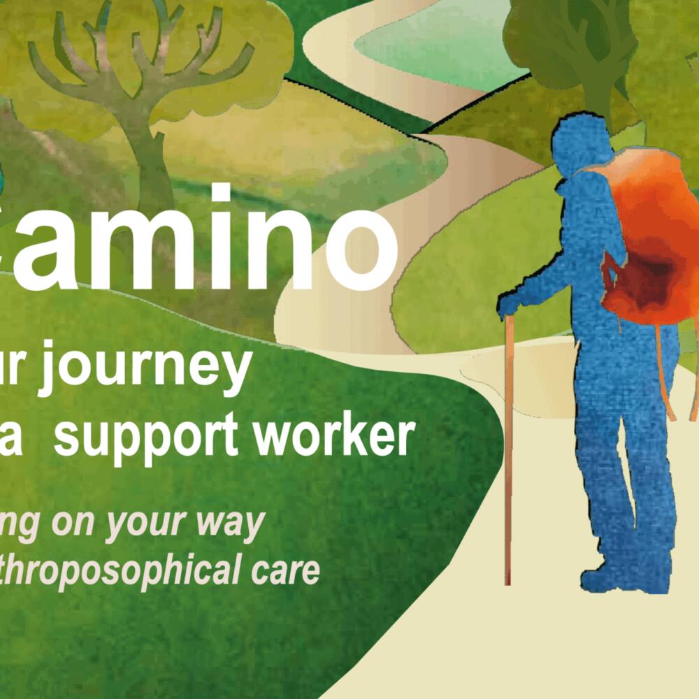 Camino – Ihre Reise als Begleiter:in