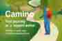 Camino – Ihre Reise als Begleiter:in