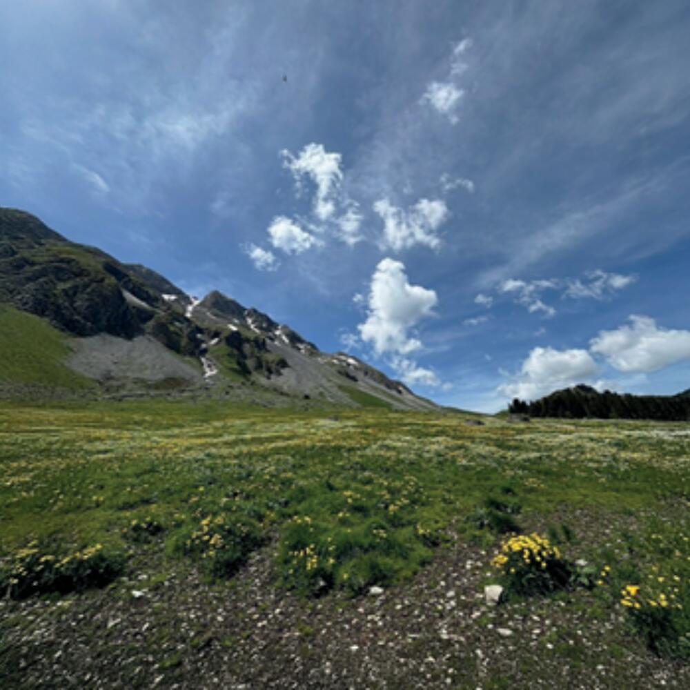 VAOAS Ärzteseminar-Studienwoche "Erde, Mensch und Kosmos"