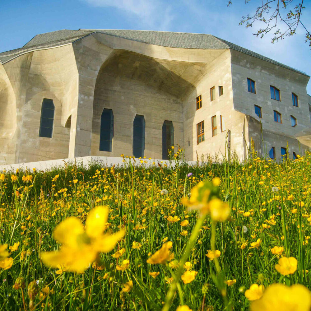 Anthroposophical Medical Grand Rounds