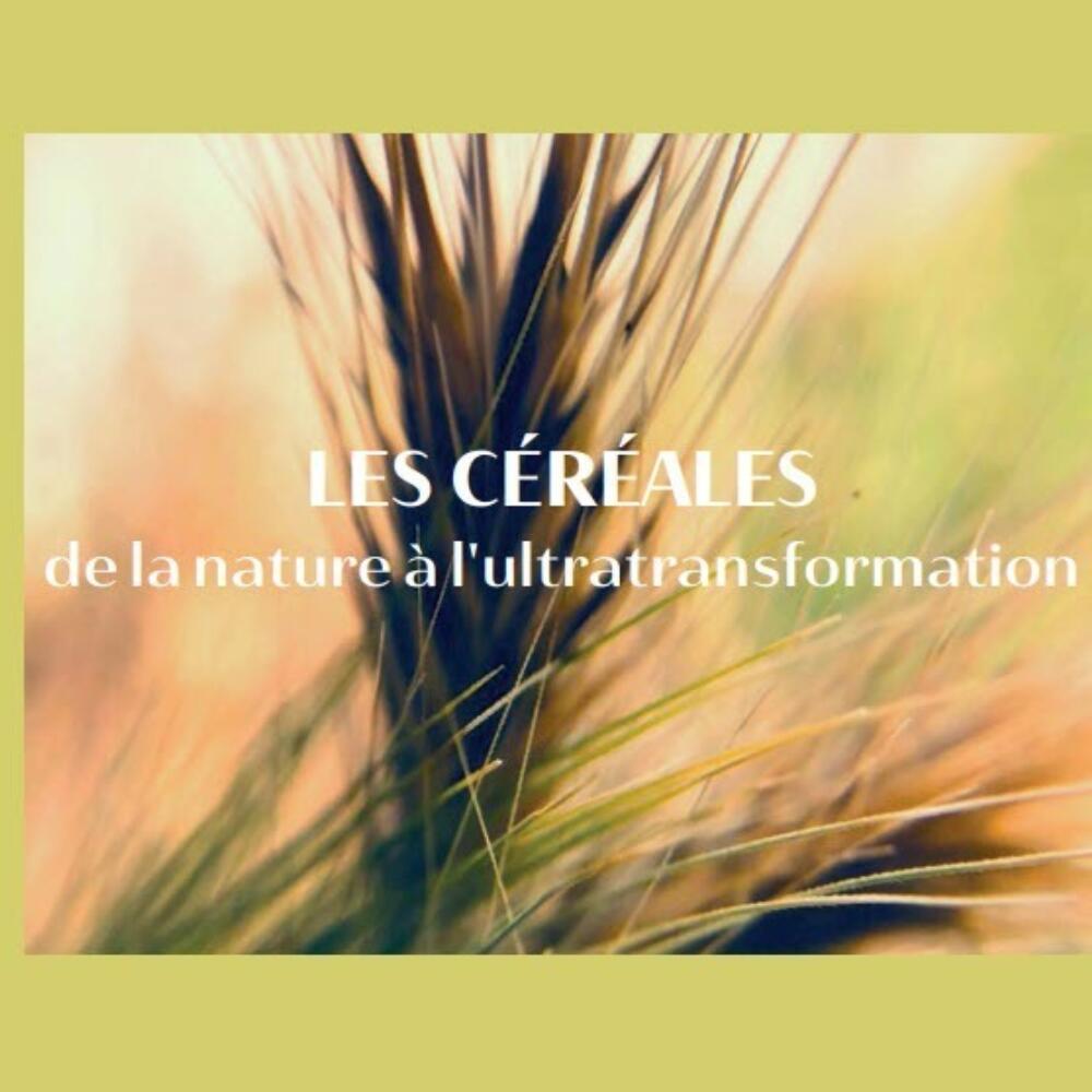 Séminaire de médecine anthroposophique: Les céréales de la nature à l'ultratransformation
