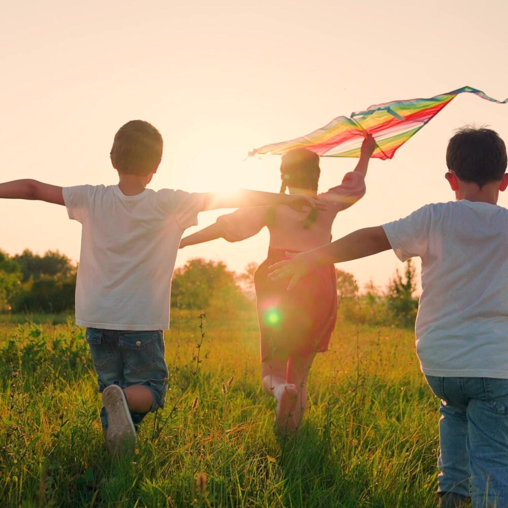 Entwicklung heilsam begleiten -12. Modul der medizinisch-pädagogischen und schulärztlichen Weiterbildung