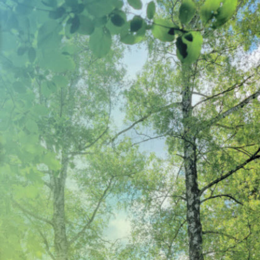 Ist die Natur der Therapieraum der Zukunft?