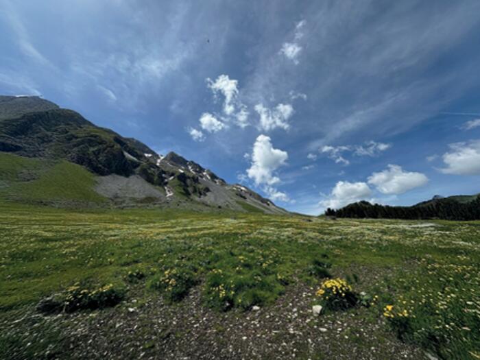 VAOAS Ärzteseminar-Studienwoche "Erde, Mensch und Kosmos"