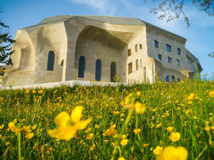 Anthroposophical Medical Grand Rounds