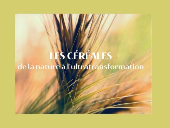 Séminaire de médecine anthroposophique: Les céréales de la nature à l'ultratransformation