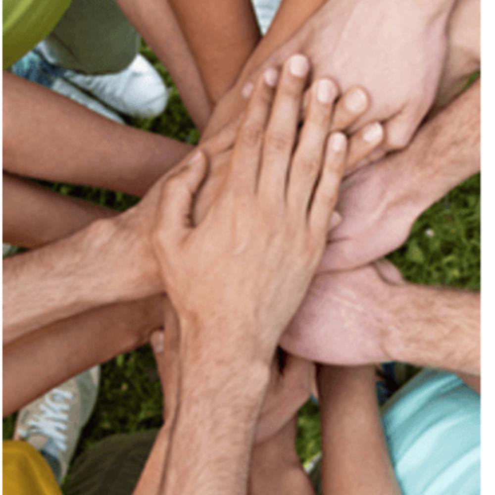 Reports - Youth Section groups