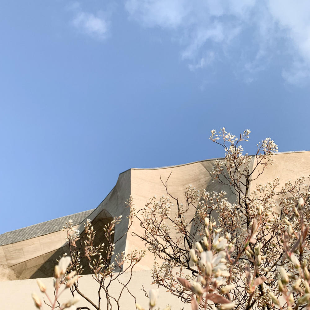 Le Goetheanum avance-t-il ?