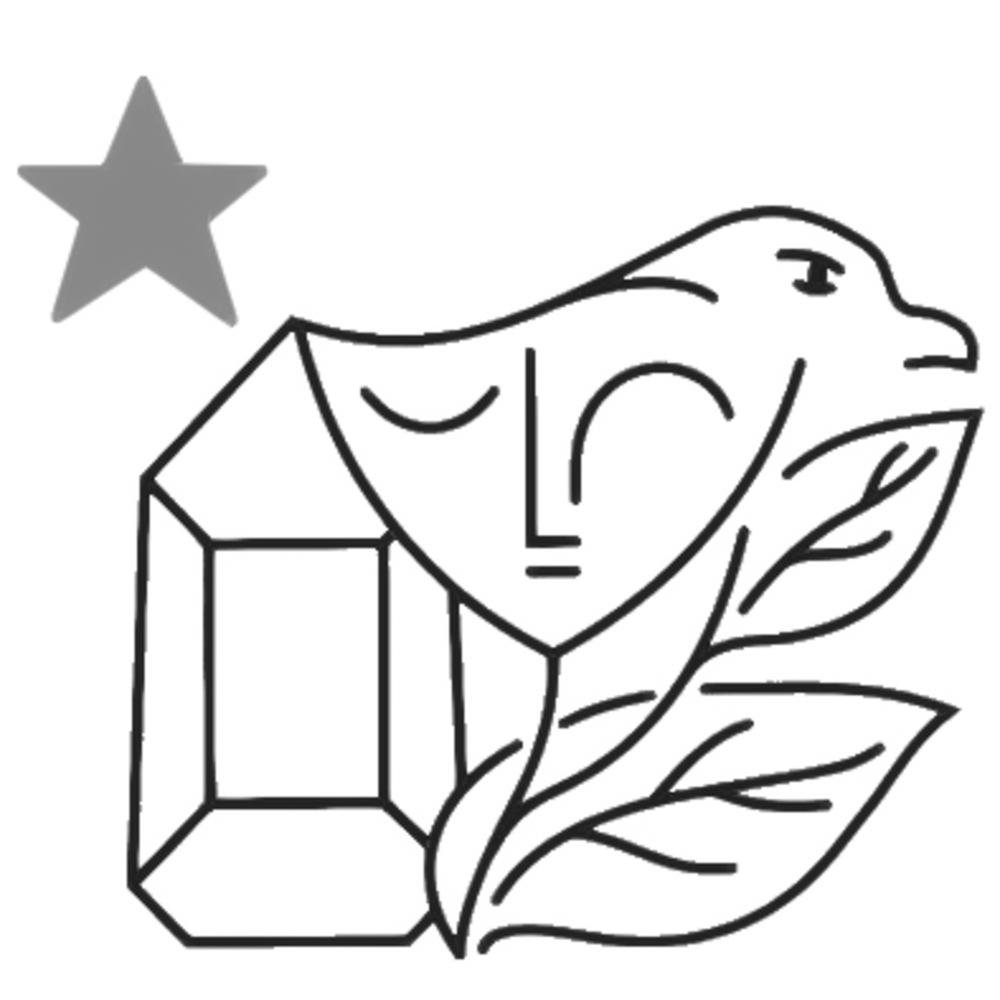 Pensée morphodynamique