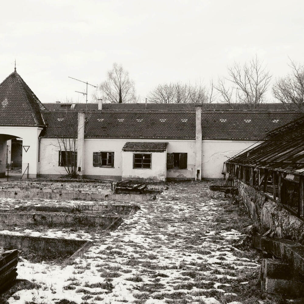 Aufarbeitung und Vorwurf