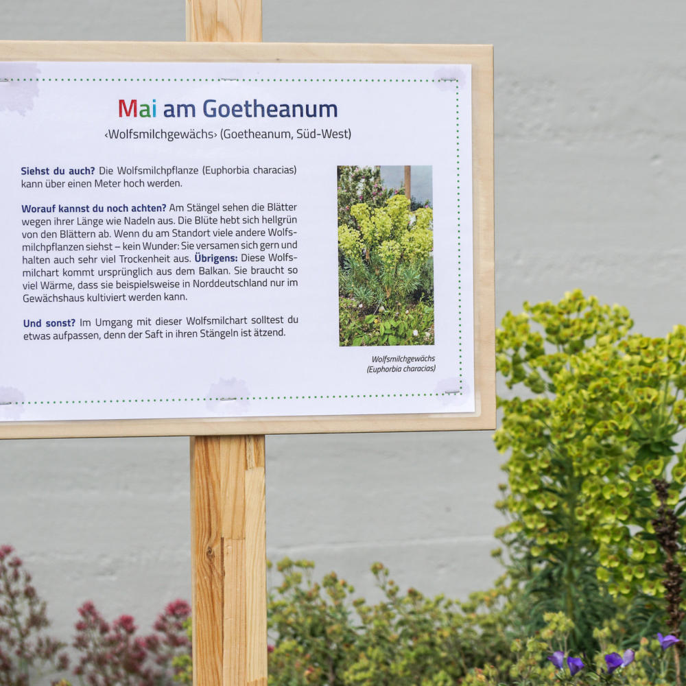 Mai am Goetheanum – mit Naturerlebnisstationen