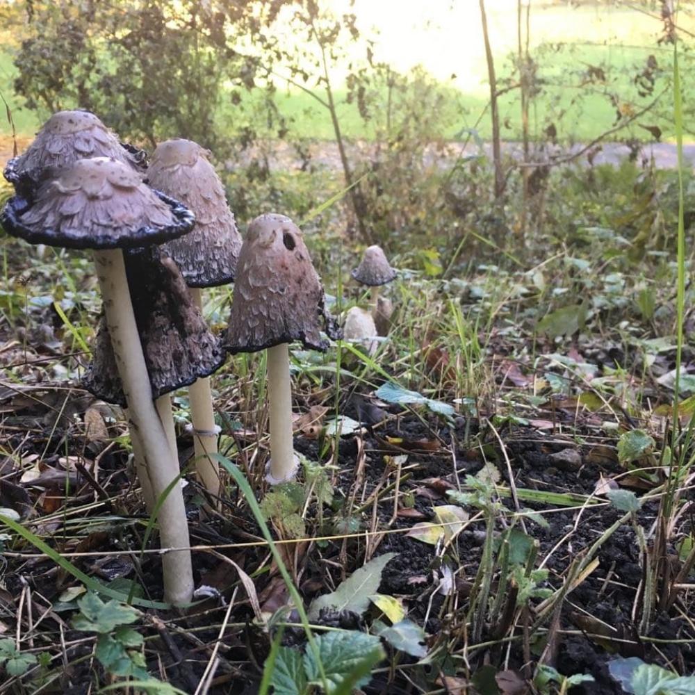 Late October