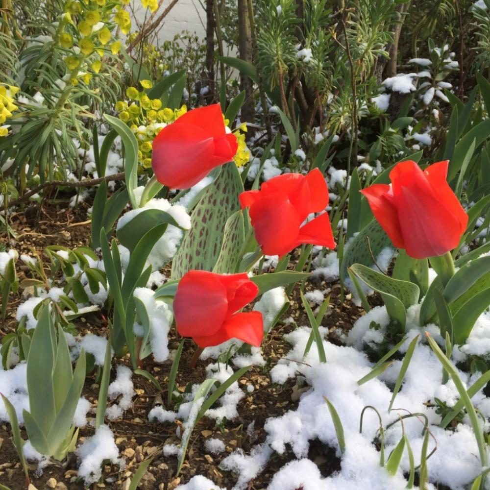 Spring impressions