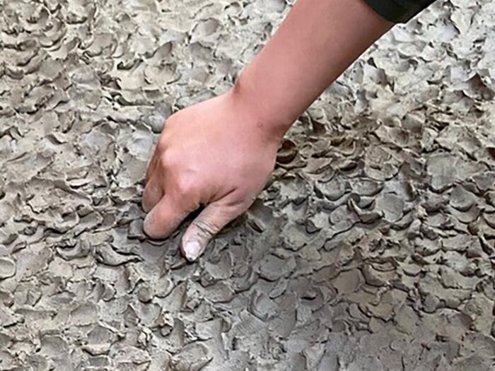 «Über die Sinne zum Geist» Kunststudien am Goetheanum