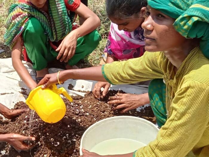 Sustainable growing methods such as biodynamics are successful around the world