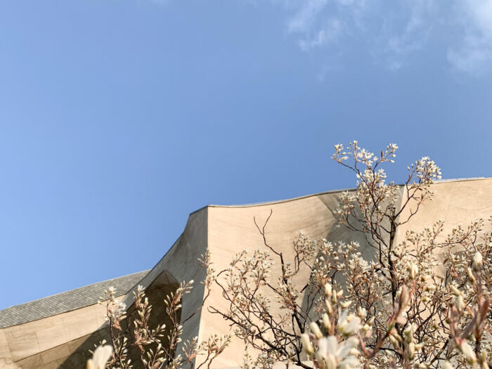 Le Goetheanum avance-t-il ?