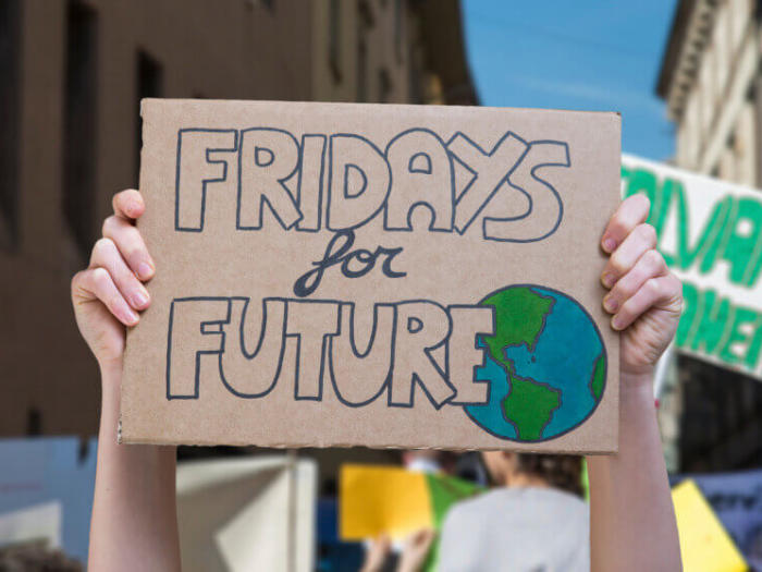 A Critique of Fridays for Future