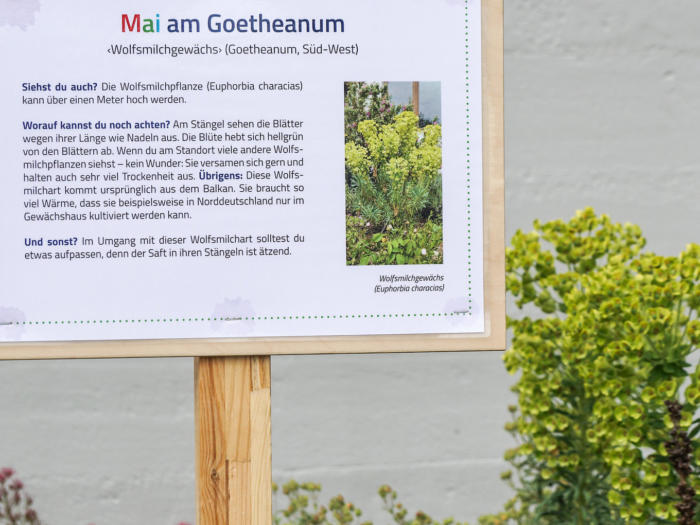 Mai am Goetheanum – mit Naturerlebnisstationen