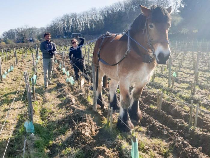 Die Methode, die den Wein verändert