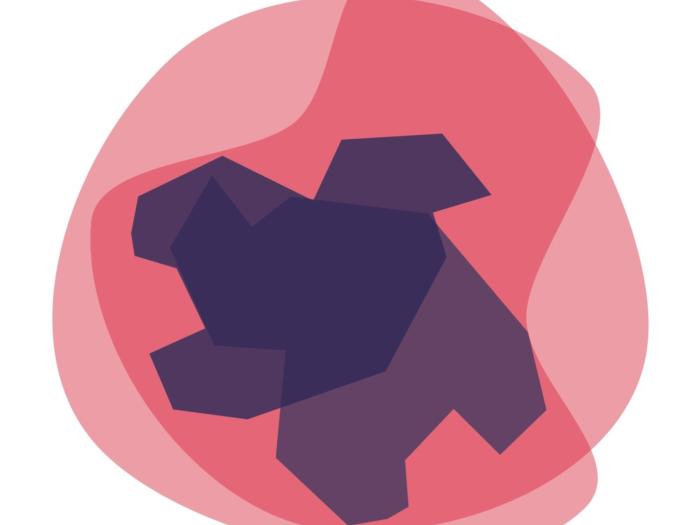 Covid-19: Looking to the future