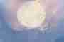The light is round