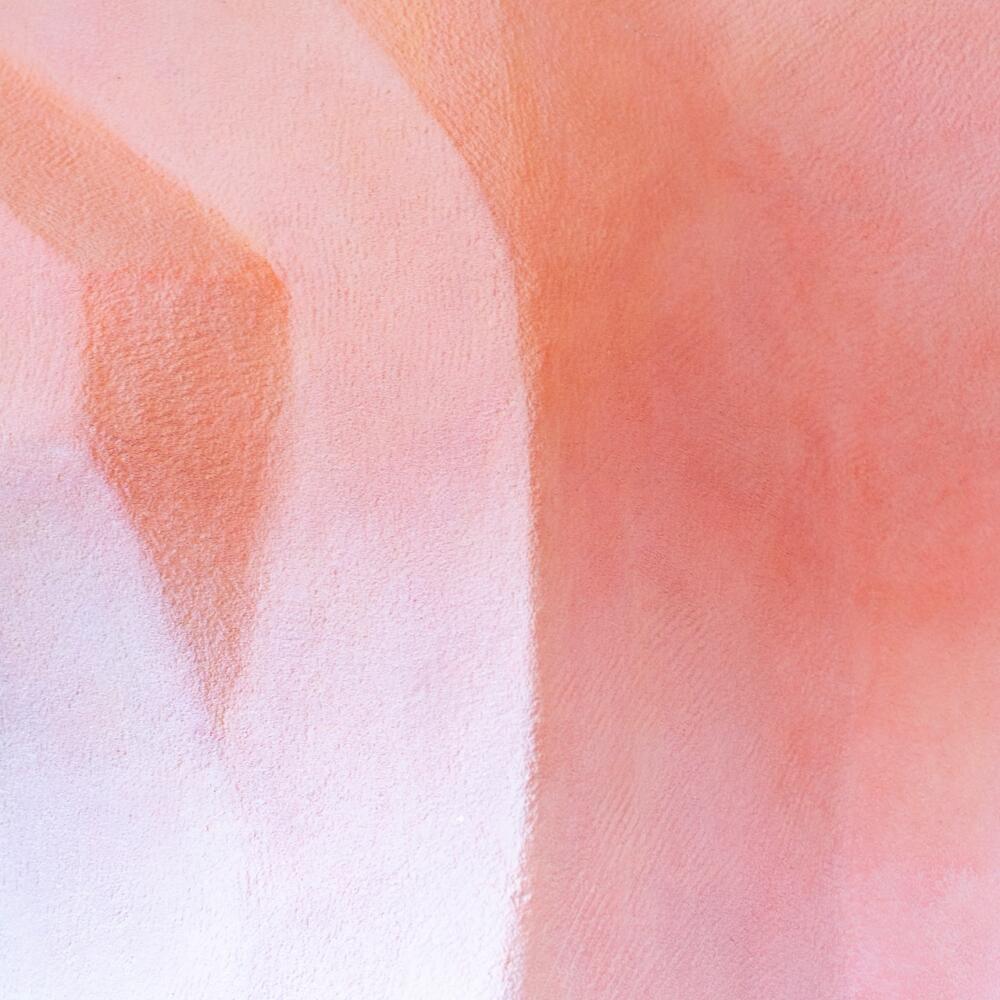 The encounter with the other