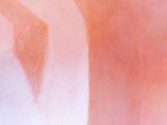 The encounter with the other