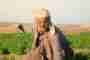 Greening the Desert