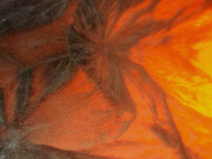 NWS Herbsttagung