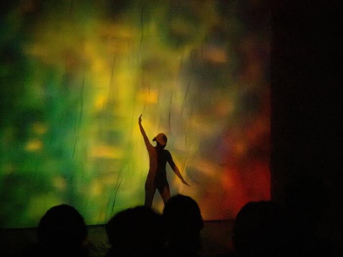 A Quest for a Pictorial Understanding of Anthroposophy - … Reflections … Images … Impulses ...
