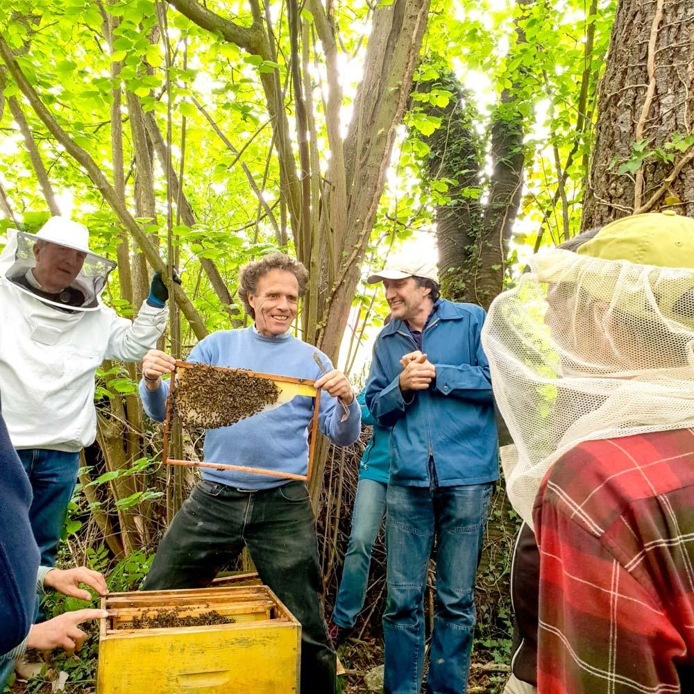 La mission spirituelle des abeilles