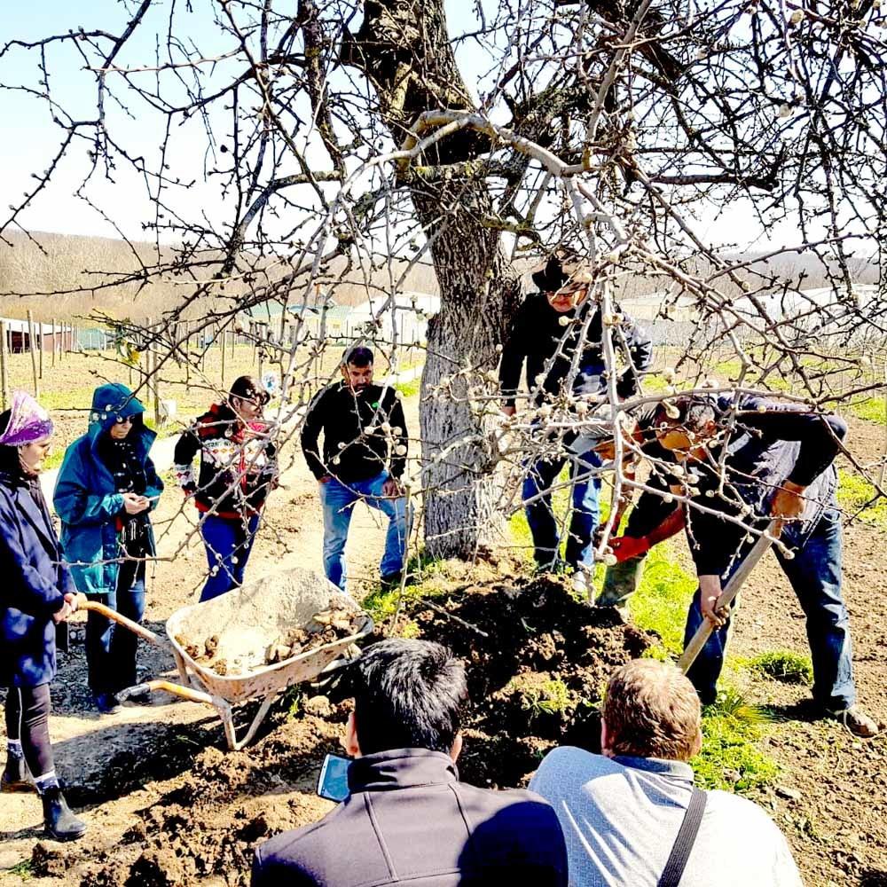 Cours de biodynamie