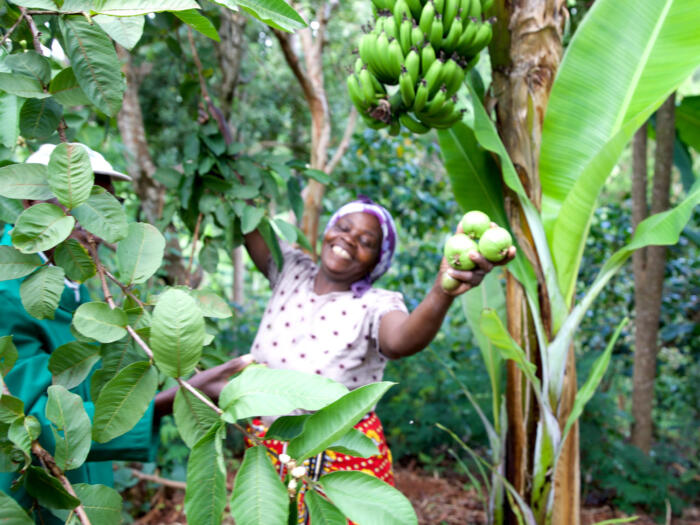 Living Farms