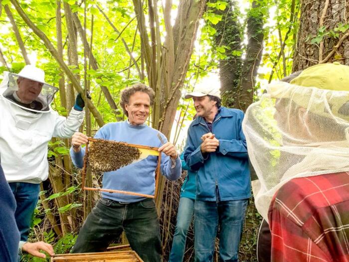 La mission spirituelle des abeilles
